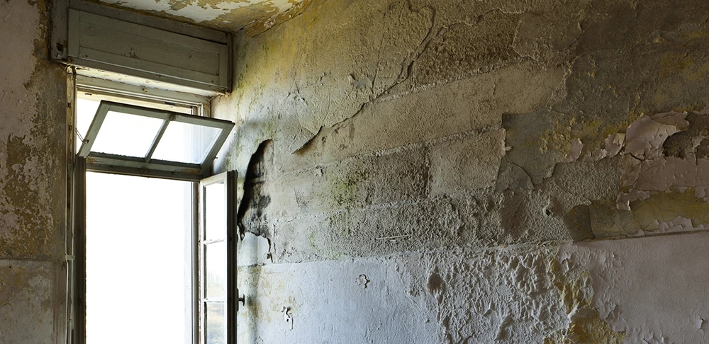 Schimmelbildung Schimmelbildung